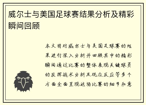 威尔士与美国足球赛结果分析及精彩瞬间回顾