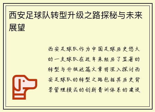 西安足球队转型升级之路探秘与未来展望