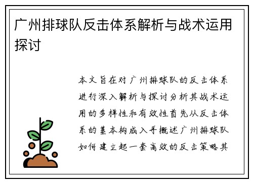 广州排球队反击体系解析与战术运用探讨