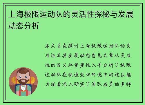 上海极限运动队的灵活性探秘与发展动态分析